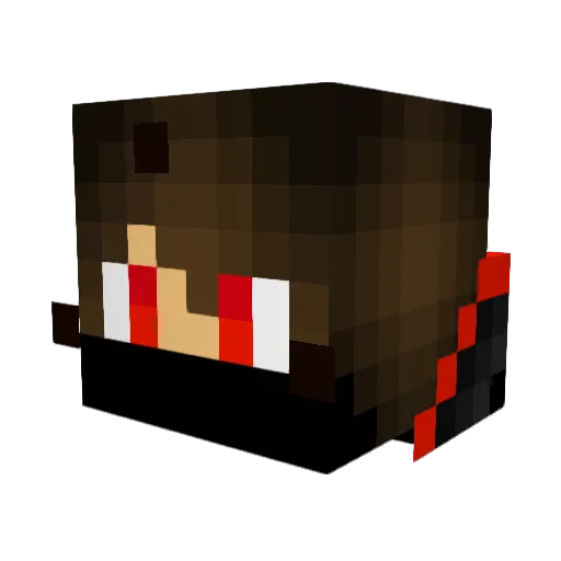 TheRedWolfKnight Minecraft avatar head, 3D render