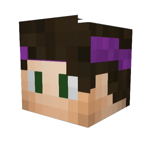 TheRelay_ Minecraft avatar head, 3D render