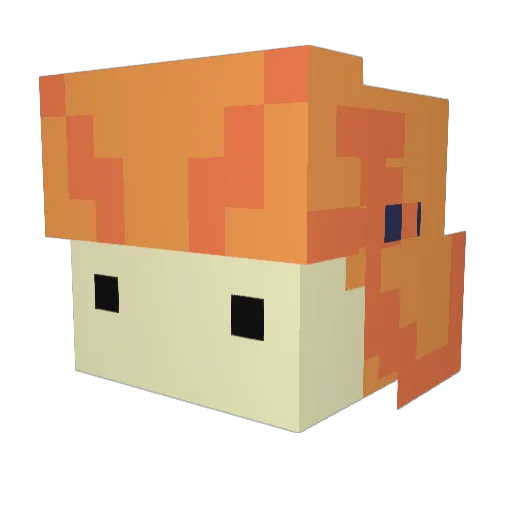 TheRiceMan2 Minecraft avatar head, 3D render