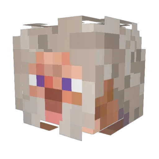 TheRicewind Minecraft avatar head, 3D render