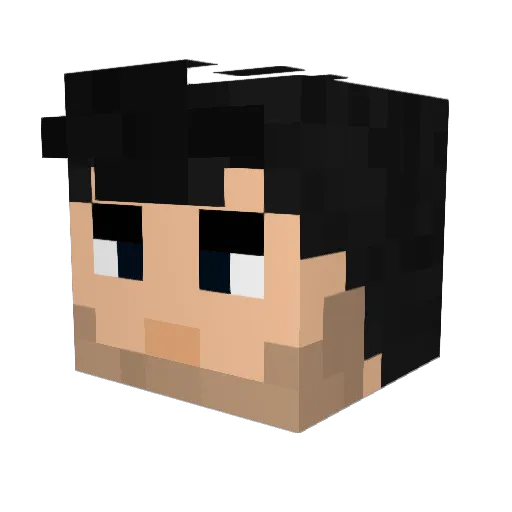 TheRickShow_2 Minecraft avatar head, 3D render