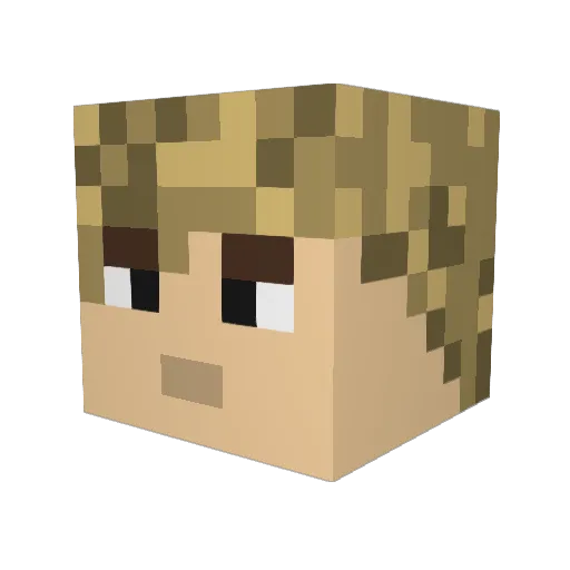 TheRickle13 Minecraft avatar head, 3D render