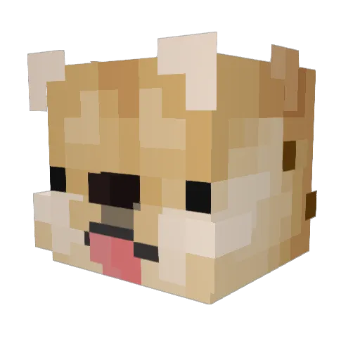 TheRiddlersQuiz Minecraft avatar head, 3D render