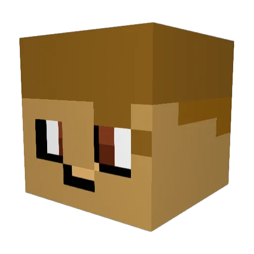 TheRique0 Minecraft avatar head, 3D render