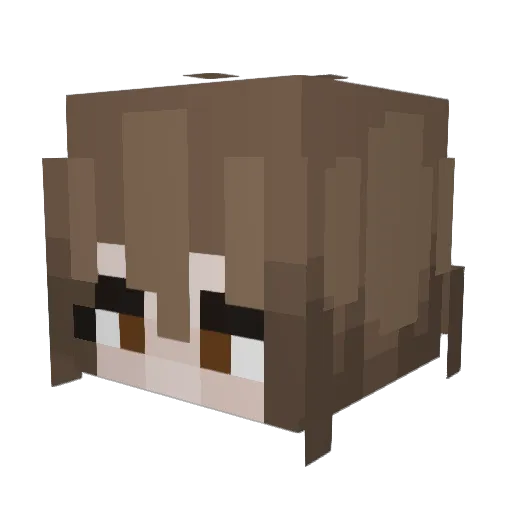 TheRoach2009 Minecraft avatar head, 3D render