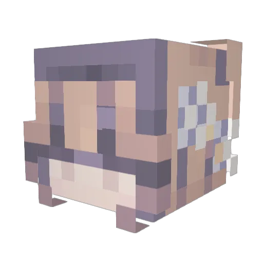 TheRoadIsWet Minecraft avatar head, 3D render