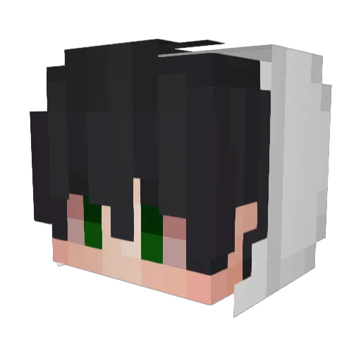 TheRobinDaHood Minecraft avatar head, 3D render