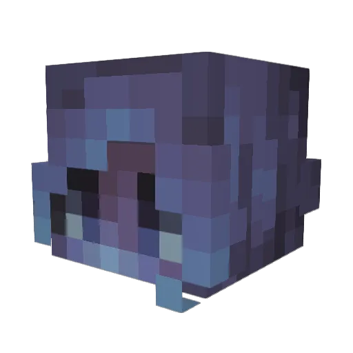 TheRobson22 Minecraft avatar head, 3D render