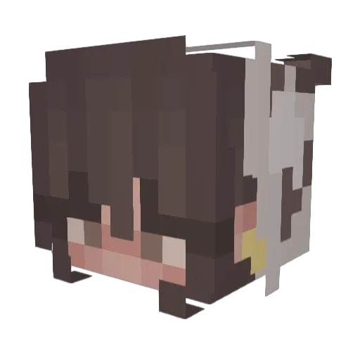 TheRodeo92 Minecraft avatar head, 3D render