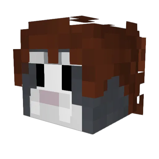 TheRodrick17 Minecraft avatar head, 3D render
