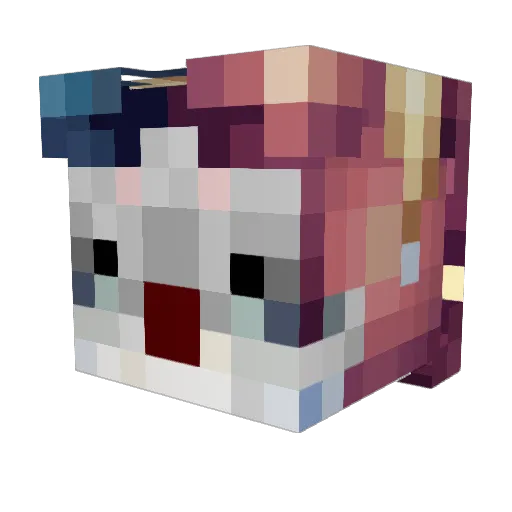 TheRogueKoala Minecraft avatar head, 3D render