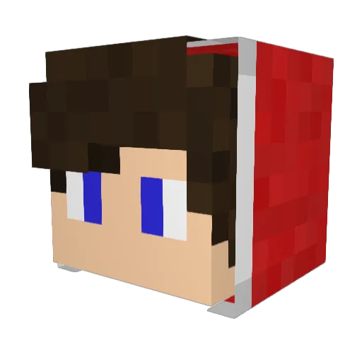 TheRonConTV Minecraft avatar head, 3D render