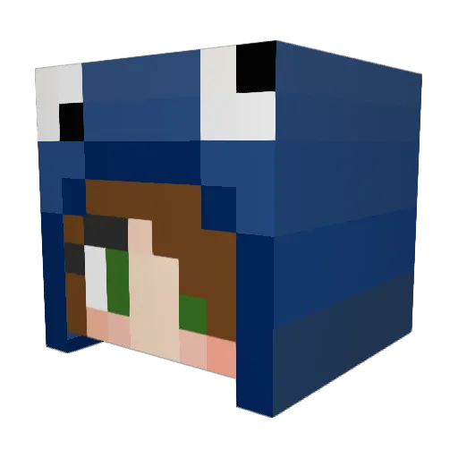 TheRottenBurger Minecraft avatar head, 3D render