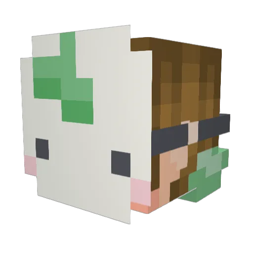 TheRowerArtist Minecraft avatar head, 3D render