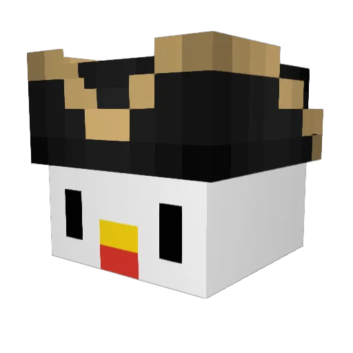 TheRuberchicken Minecraft avatar head, 3D render