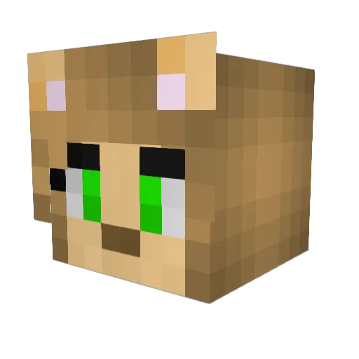 TheRuneMage Minecraft avatar head, 3D render