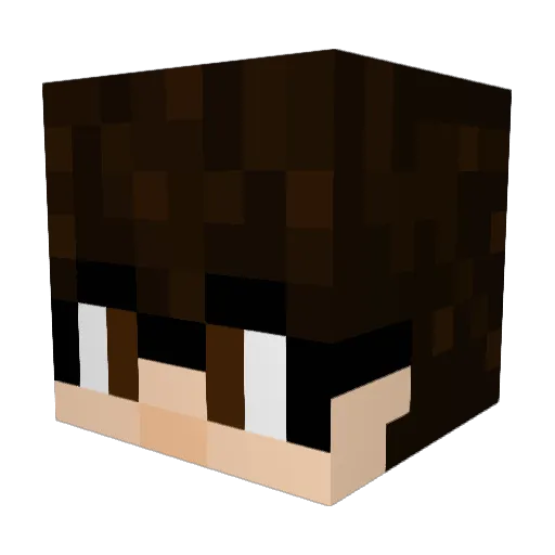 TheRxS203 Minecraft avatar head, 3D render