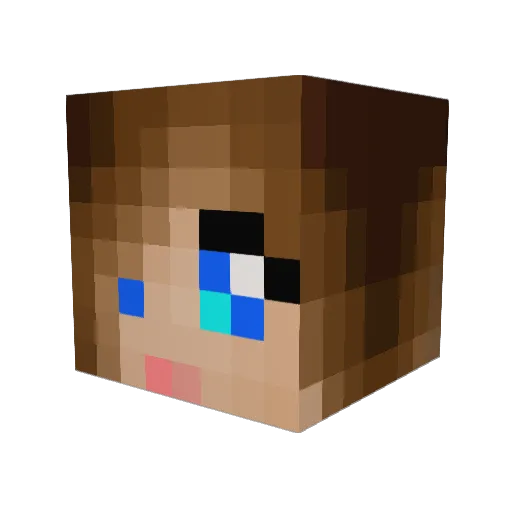 TheRyanlee69 Minecraft avatar head, 3D render