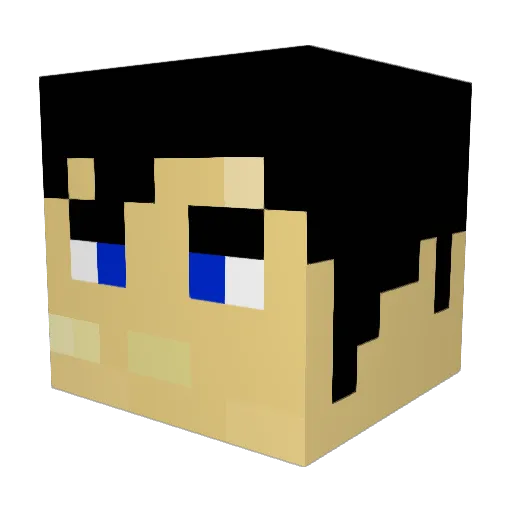 TheSJW Minecraft avatar head, 3D render
