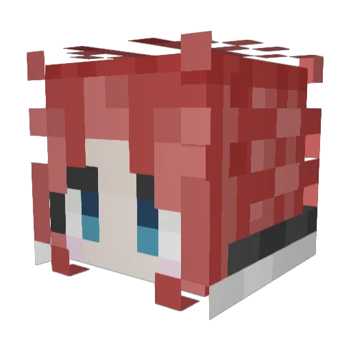 TheSaltIsHere Minecraft avatar head, 3D render