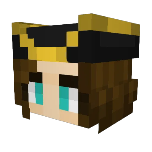 TheSaltyFish Minecraft avatar head, 3D render
