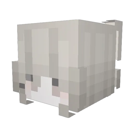 TheSaltyLuci Minecraft avatar head, 3D render