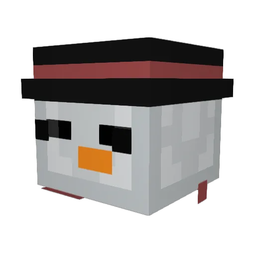 TheSalty_1 Minecraft avatar head, 3D render
