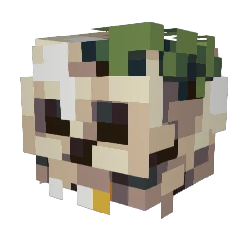 TheSamoose Minecraft avatar head, 3D render