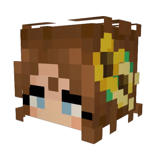 TheSandmichGod Minecraft avatar head, 3D render