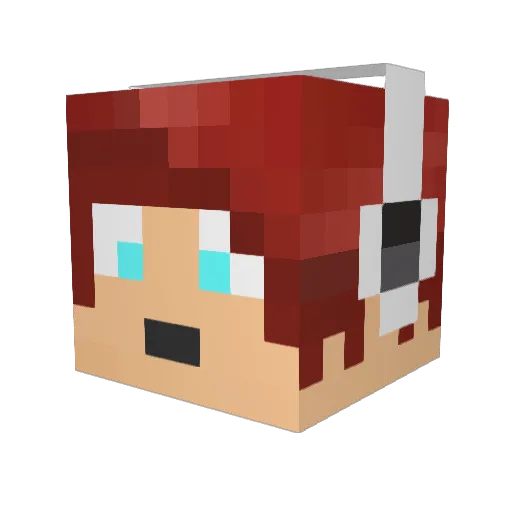 TheSanta12 Minecraft avatar head, 3D render