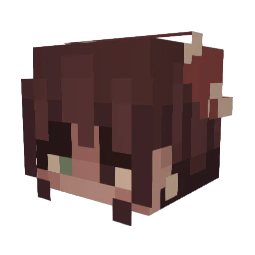 TheSassyShroom Minecraft avatar head, 3D render