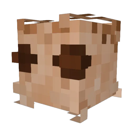 TheSaturnsEye Minecraft avatar head, 3D render