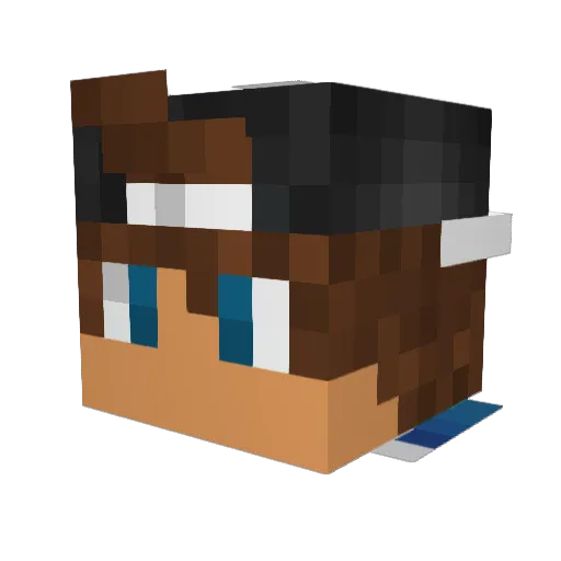 TheSavage12345 Minecraft avatar head, 3D render