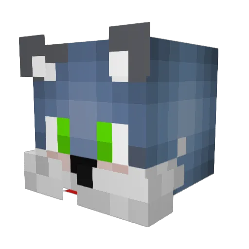 TheSavageWagon Minecraft avatar head, 3D render