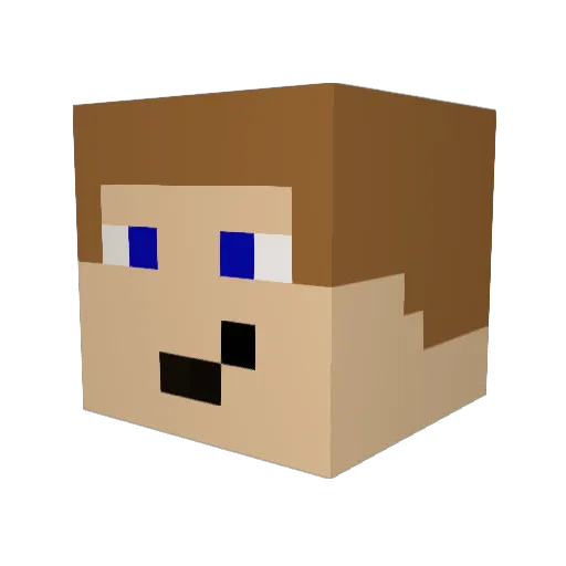 TheSeals Minecraft avatar head, 3D render