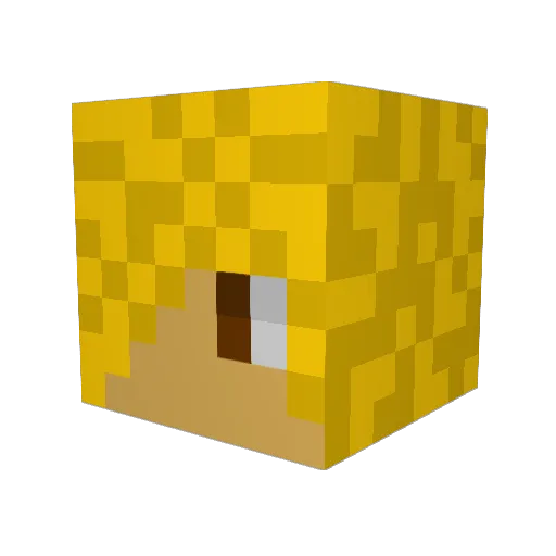 TheSebakl Minecraft avatar head, 3D render