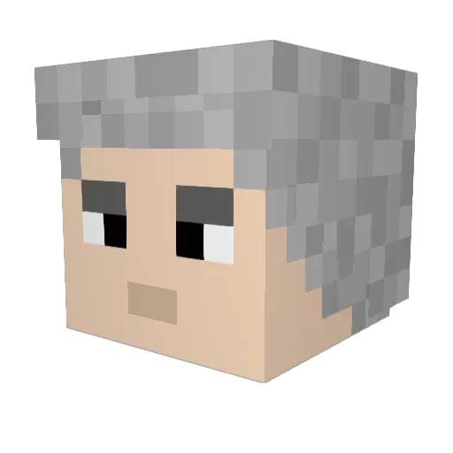 TheSecretPerson Minecraft avatar head, 3D render