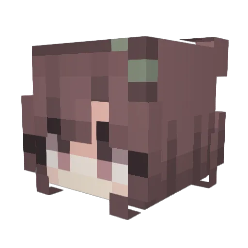 TheSeds Minecraft avatar head, 3D render
