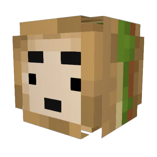TheSenYT Minecraft avatar head, 3D render