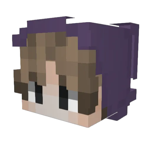 TheSergioEvans Minecraft avatar head, 3D render