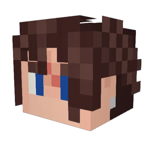 TheSewerDog Minecraft avatar head, 3D render