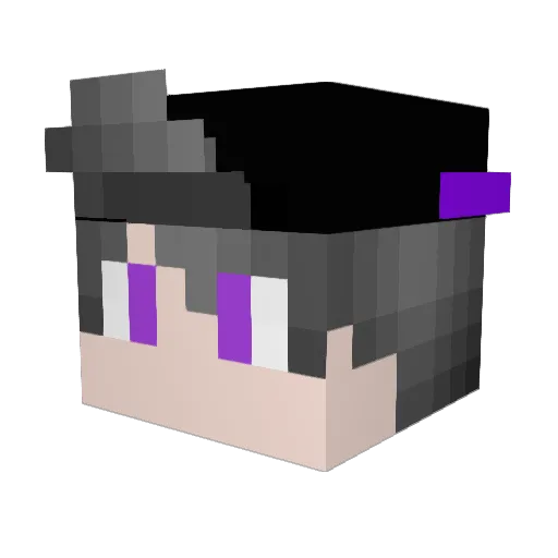 TheShad0win Minecraft avatar head, 3D render