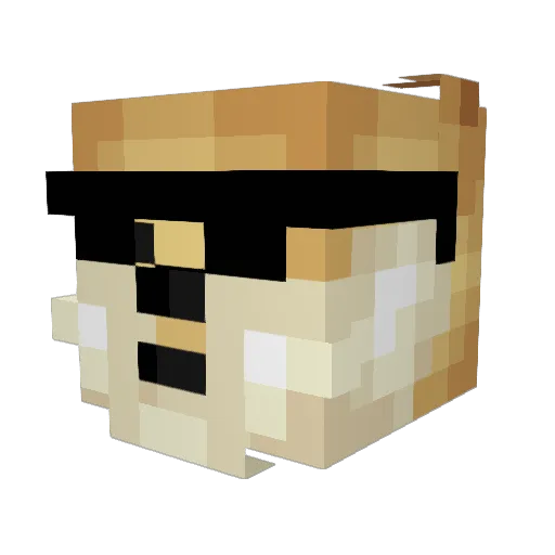 TheShadyGame Minecraft avatar head, 3D render