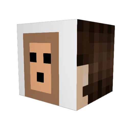 TheSharkCat1 Minecraft avatar head, 3D render