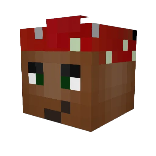 TheShasHole Minecraft avatar head, 3D render