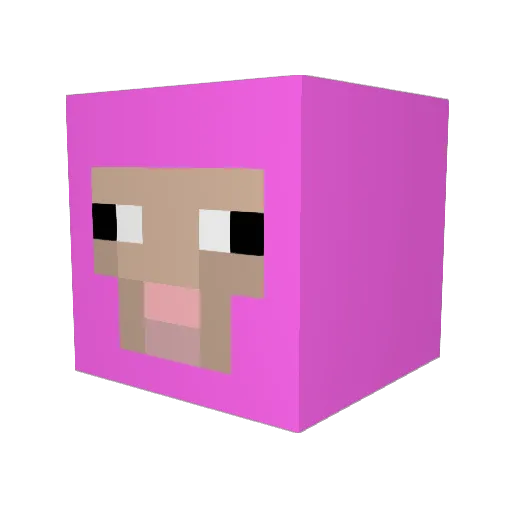 TheSheep1999 Minecraft avatar head, 3D render