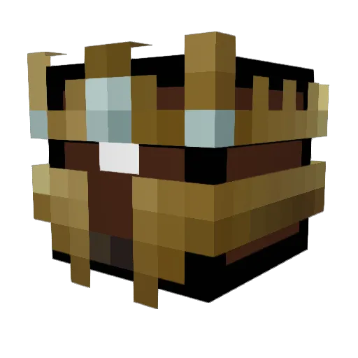 TheShieldBro Minecraft avatar head, 3D render