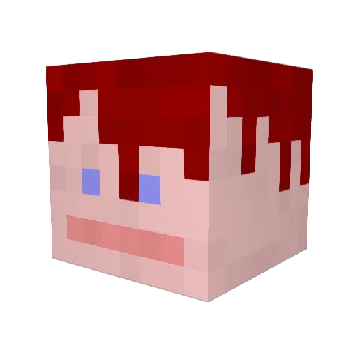 TheShinkster Minecraft avatar head, 3D render