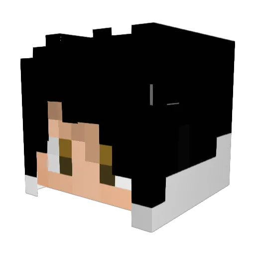TheShiv Minecraft avatar head, 3D render