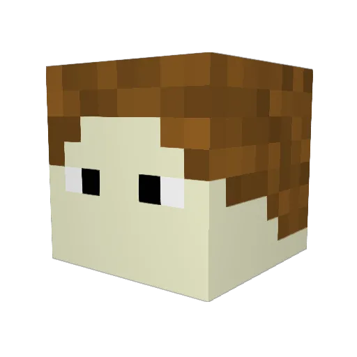 TheShoeKid25 Minecraft avatar head, 3D render